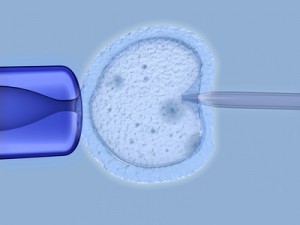 In vitro Fertilisation